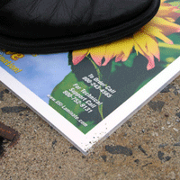 Scratch Resistant Lamination Film 